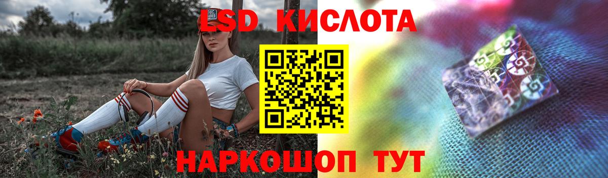 Курчатов  Лсд 25 экстази кислота  Вход с VPN  ЛСД экстази  Лсд 25 экстази ecstasy 