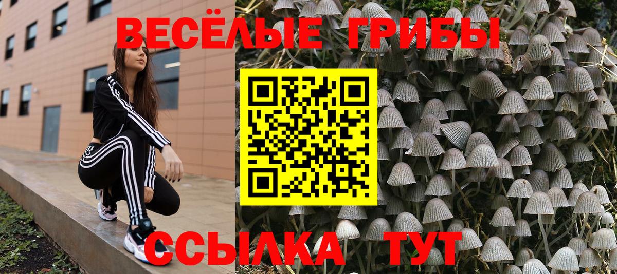 Псилоцибиновые грибы мухоморы  Вход с VPN  Курчатов 